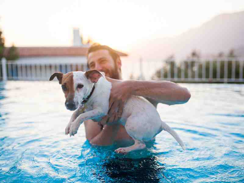 Photo: A man helps his dog swim for their exercise routine.