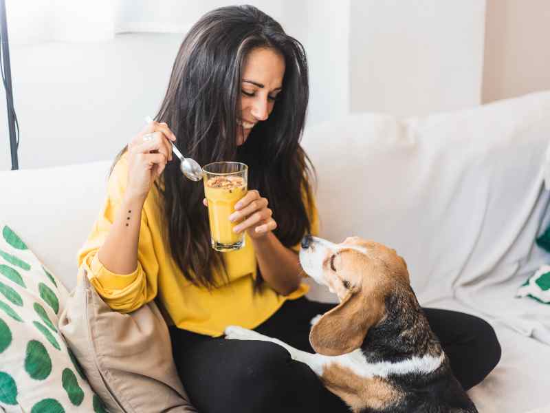 A woman shares a probiotic smoothie for dogs with her beagle