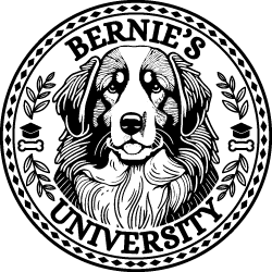 Bernie's University Logo