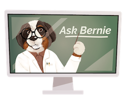 Illustration of Bernie saying "Ask Bernie."