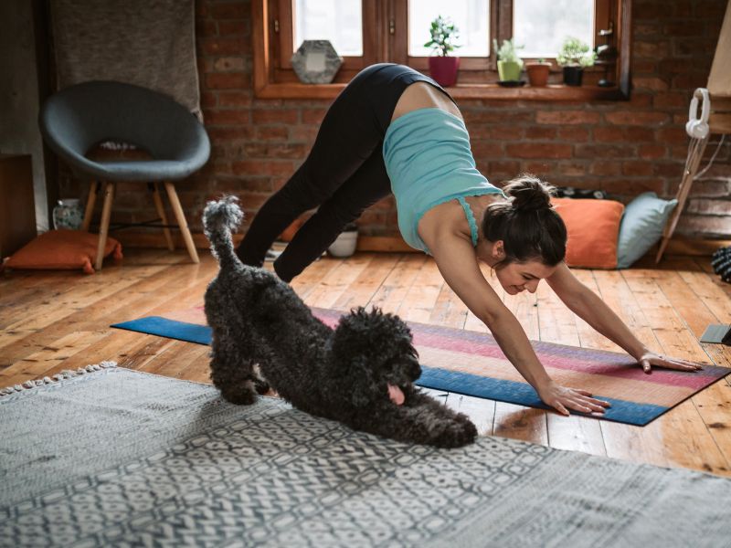 Doing yoga with your dog can be good for both of your joints