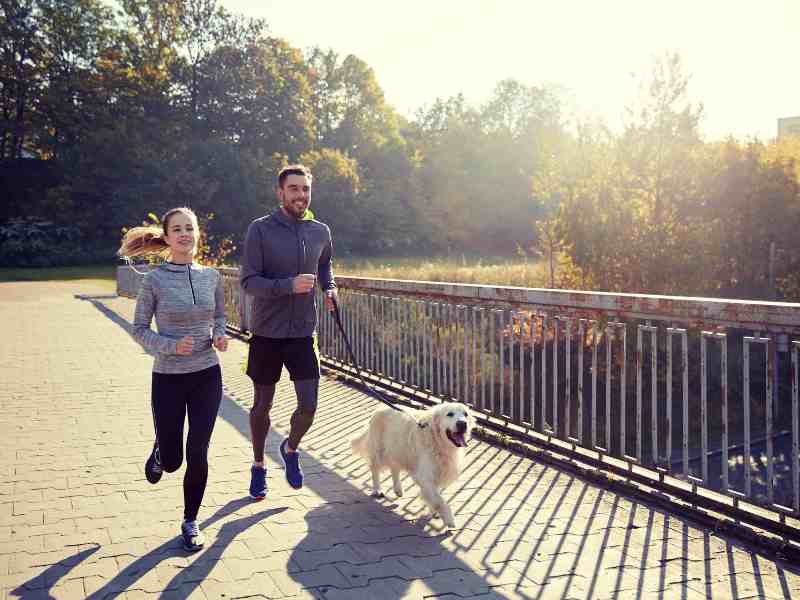 Photo: A man and a woman run with a Golden Retriever running beside them.