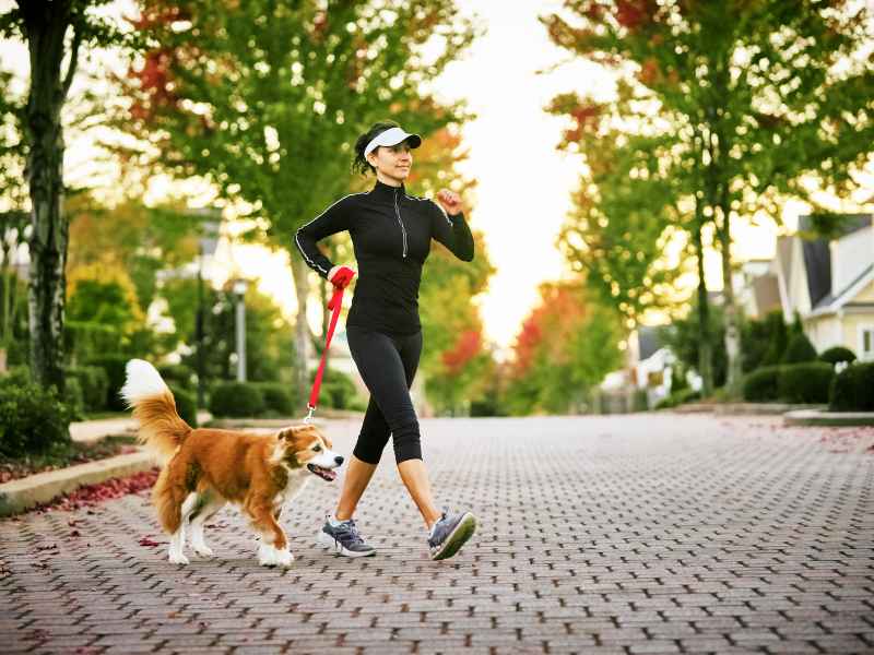 Is Your Dog The Key To Your Best Health? 