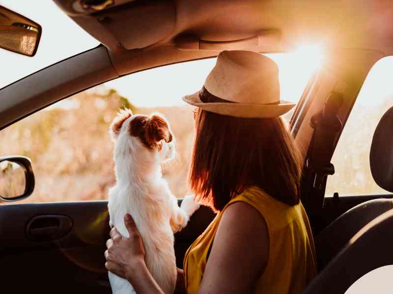 Photo: A woman enjoys the sunset from the front seat of her car as she travels with her dog in her lap.