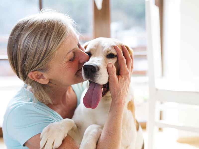 Innovative Ingredients For Dog Oral Health Supplements