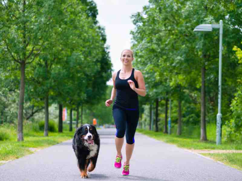 Does Your Dog’s Exercise Regime Support Mobility?