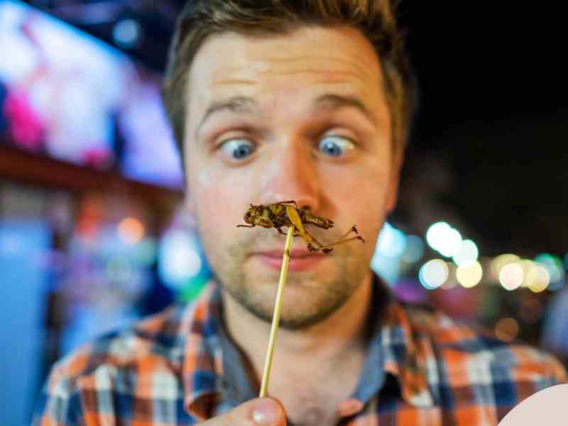 Photo: A man is about to eat a cricket on a skewer for protein.
