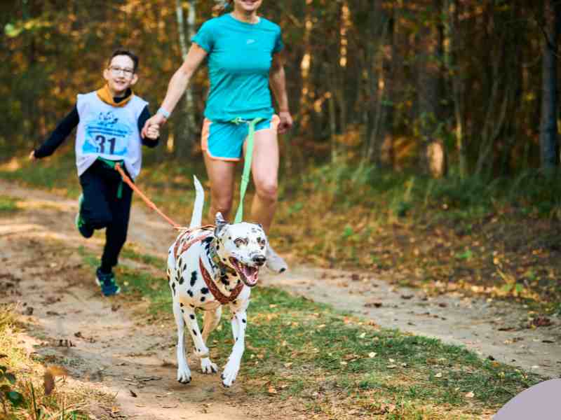 Photo: A mom and her son run on a trail jointly holding a Dalmatians leash.