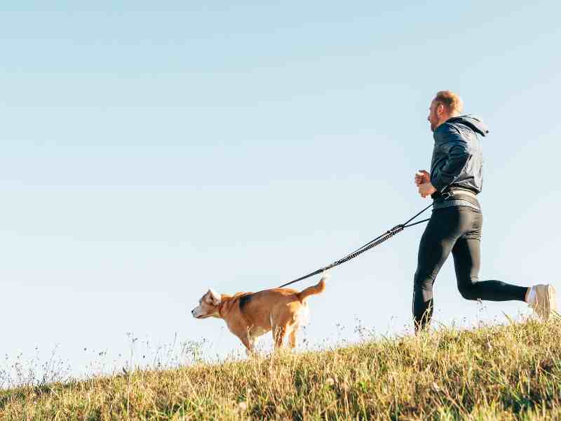 Photo: Aman runs with an older dog on a hillside.