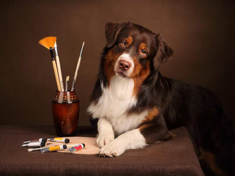 Photo: A dog is about to get into an art project with a palette and paint brushes.