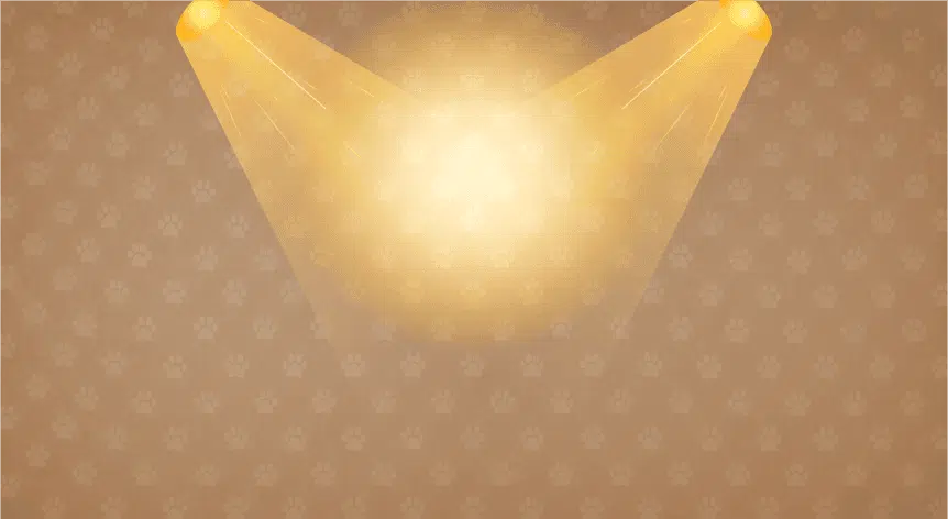 Bernie's in the Spotlight Background Image