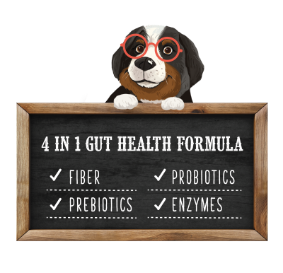Header graphic: 4-in-1 gut health formula: fiber, prebiotics, probiotics and enzymes.