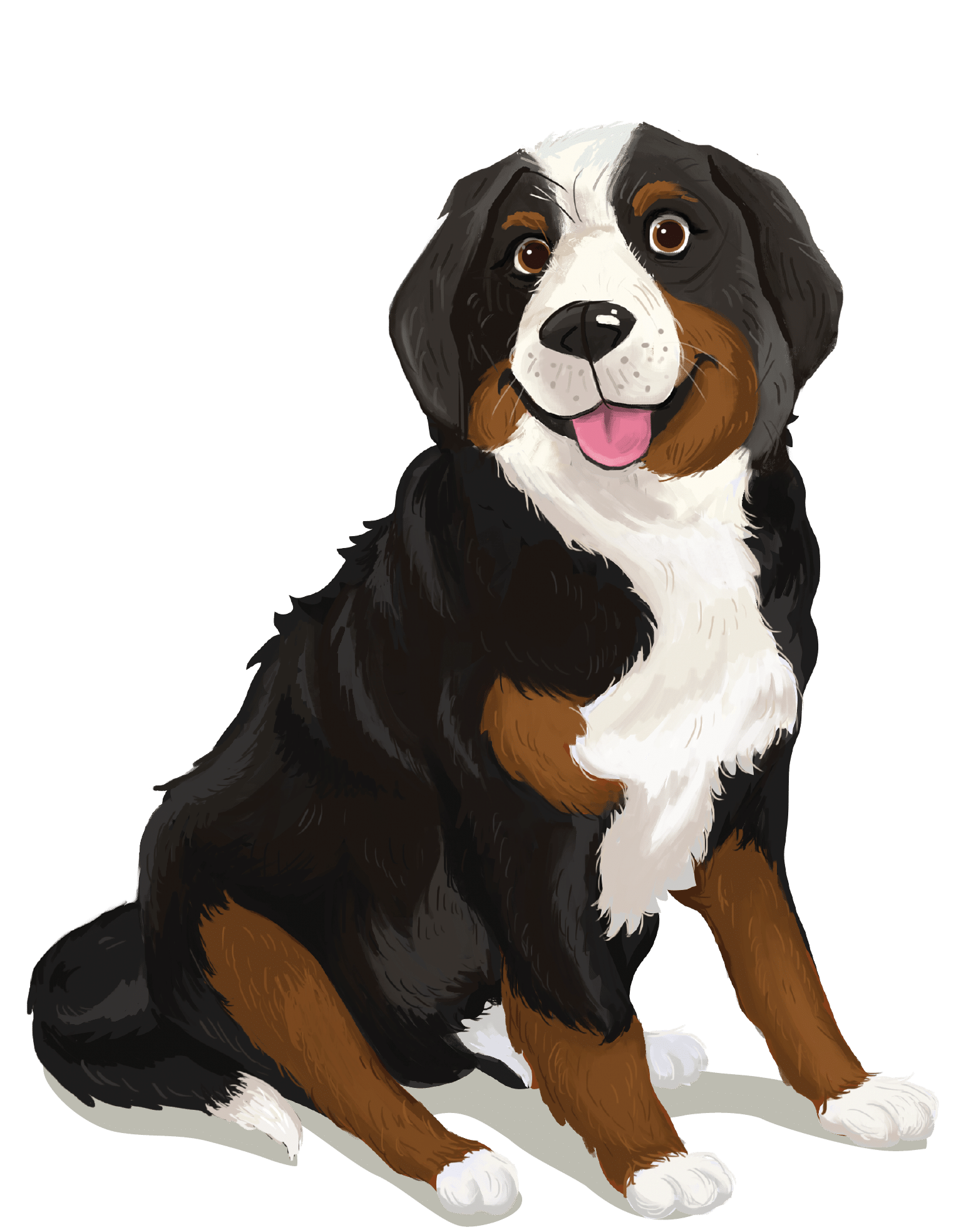 Bernie, the Bernese Mountain Dog who inspired Bernie's Best