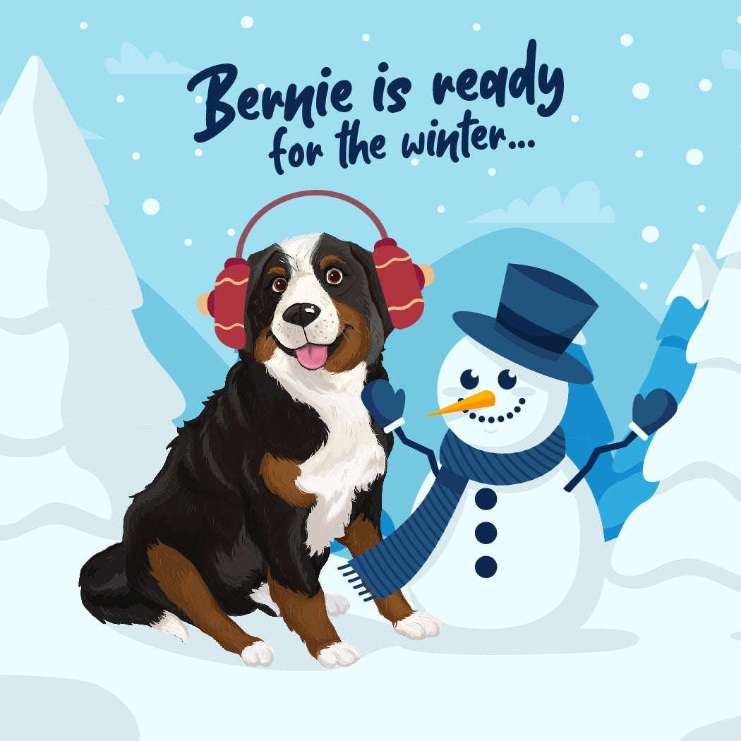 Illustration of Bernie wearing earmuffs and sitting by a snowman.