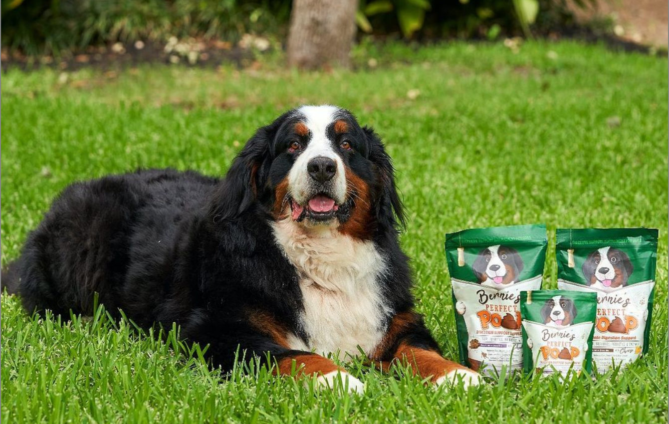 Photo of Bernie outdoors next to bags of Bernie's Perfect Poop.