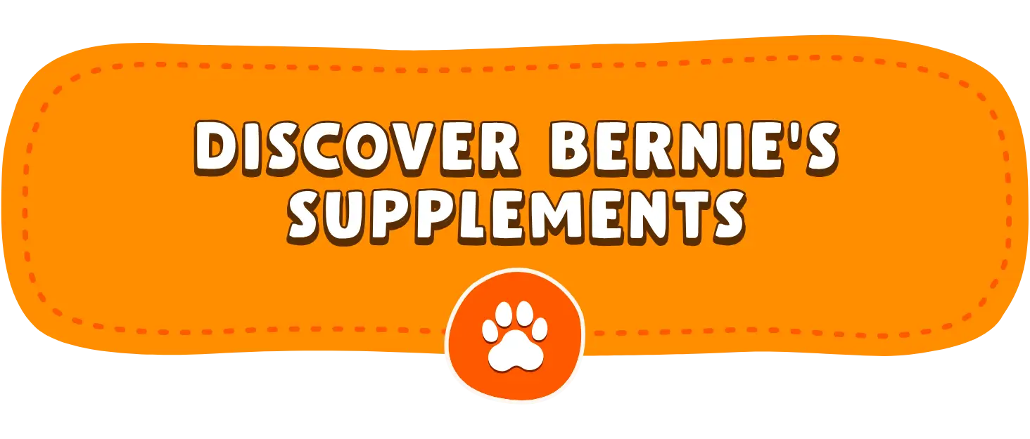 button-discover-bernies-supplements Discover Bernies Supplements