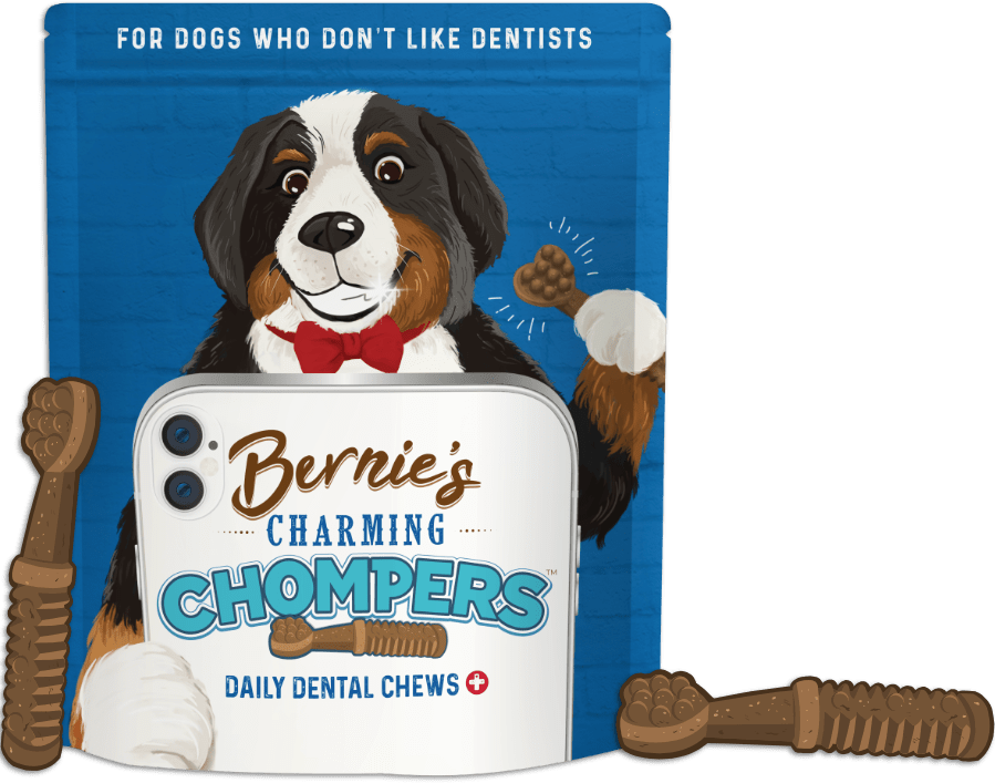 Package of Bernie's Charming Chompers.