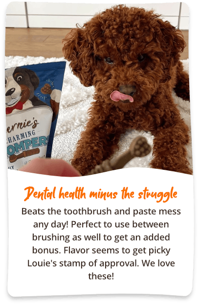 Photo of a brown labradoodle, "Dental Health Minus the Struggle. Beats the toothbrush and paste mess any day!"