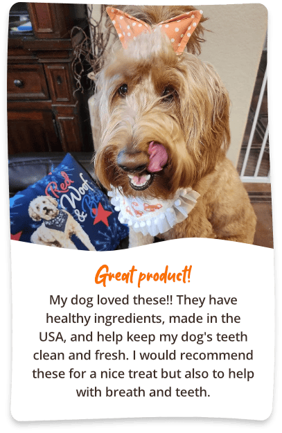 Photo of dog with cute bow, "Great product! My dog loved these!"