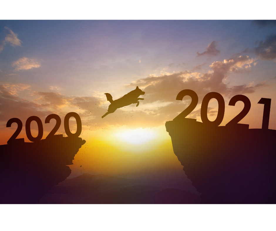 A New Year illustration of a dog jumping from 2020 to 2021.