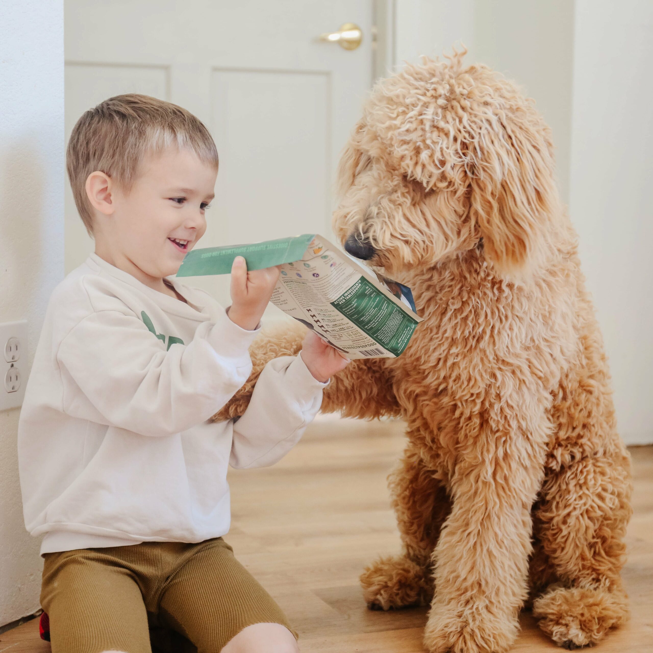 Photo of a boy with a golden doodle.