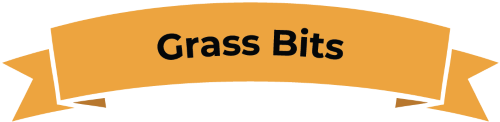 Banner: Grass Bits.
