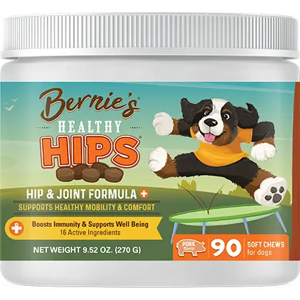 Bernie’s Healthy Hips dog supplement container with a jumping cartoon dog on the label, hip & joint formula for dogs, 90 soft chews, 9.5 oz (270 g).