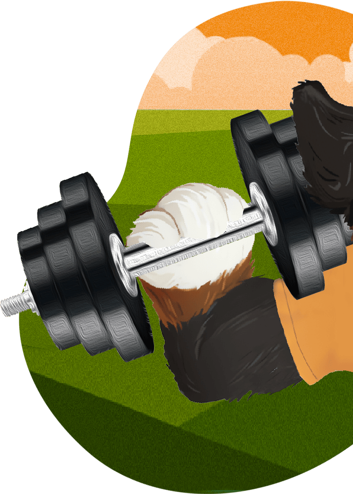 Illustration of Bernie lifting weights.