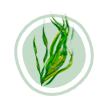 Icon for Miscanthus grass.