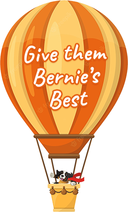 Illustration of Bernie piloting a hot air balloon.