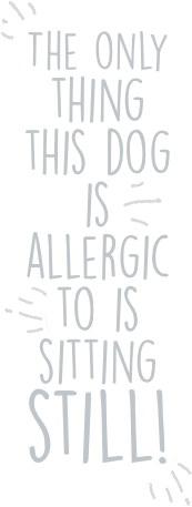 Quote: "The only thing this dog is allergic to is sitting still!"