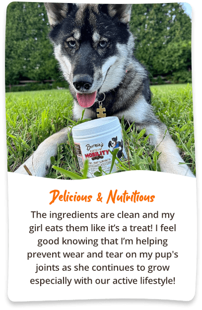 Delicious and nutritious. The Ingredients are clean and my girl eats the vitamin like it’s a treat! I feel good knowing that I’m helping prevent wear and tear on my pups joints as she continues to grow especially with our active lifestyle!