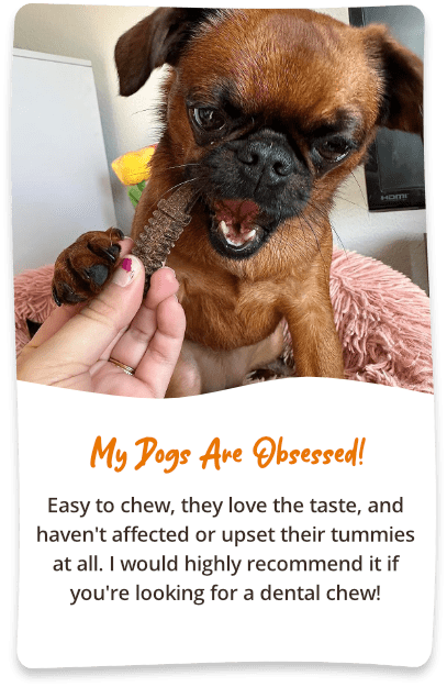 My dogs are obsessed! Easy to chew, they love the taste, and haven't affected or upset their tummies at all. I would highly recommend it if you're looking for a dental chew!