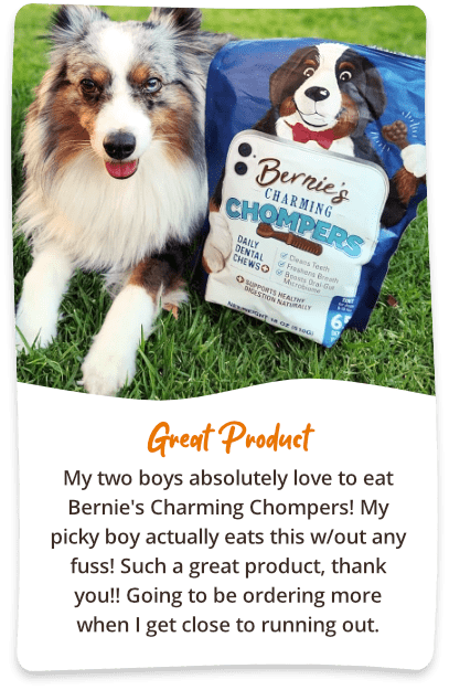 Great product! My two boys absolutely love to eat Bernie's Charming Chompers! My picky boy actually eats this w/out any fuss! Such a great product, thank you!! Going to be ordering more when I get close to running out.