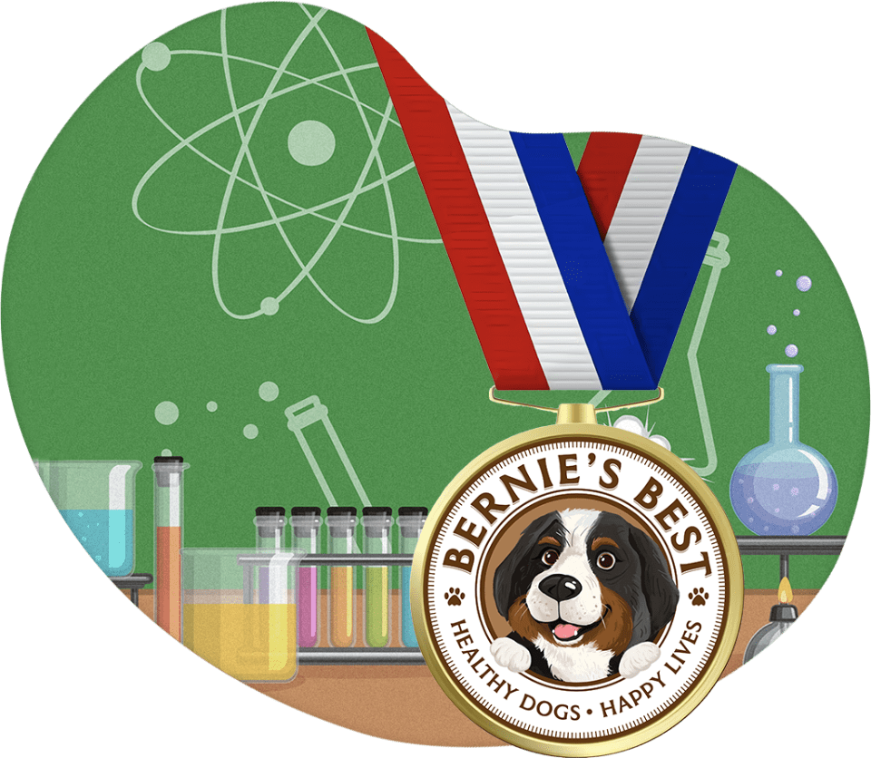 Bernie & Science Medal illustration.