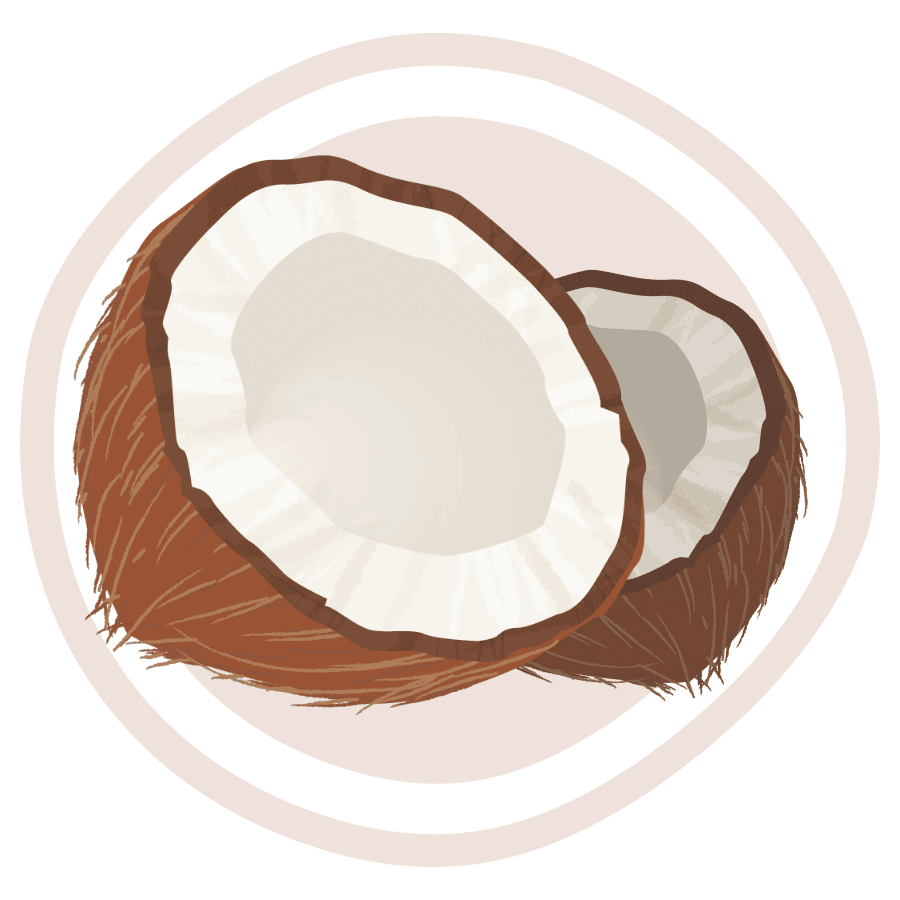 Icon for Coconut.