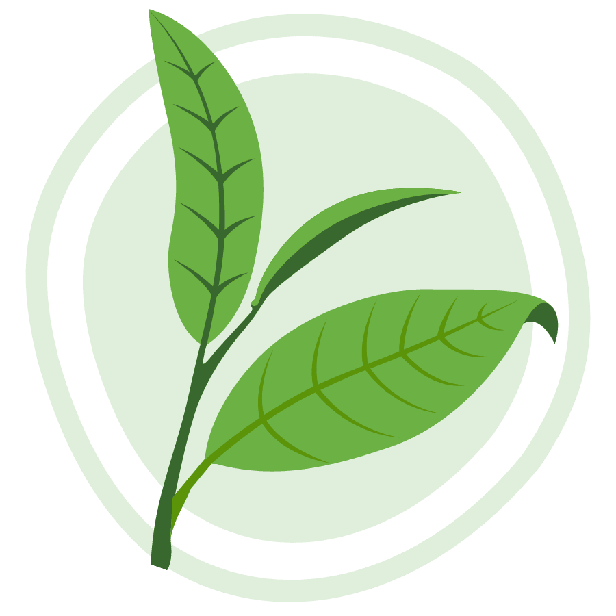 Icon for Green Tea Extract.