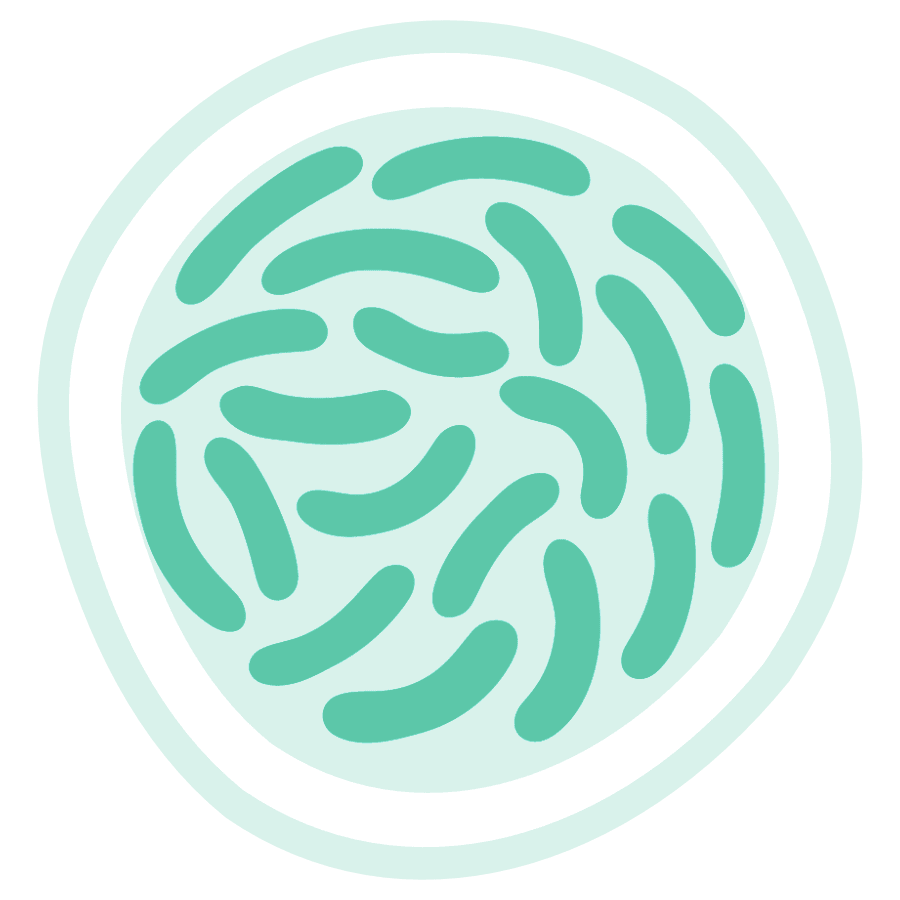 Icon for Lactobacillus.