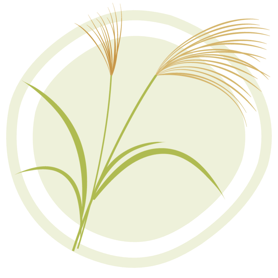 Icon for Miscanthus.