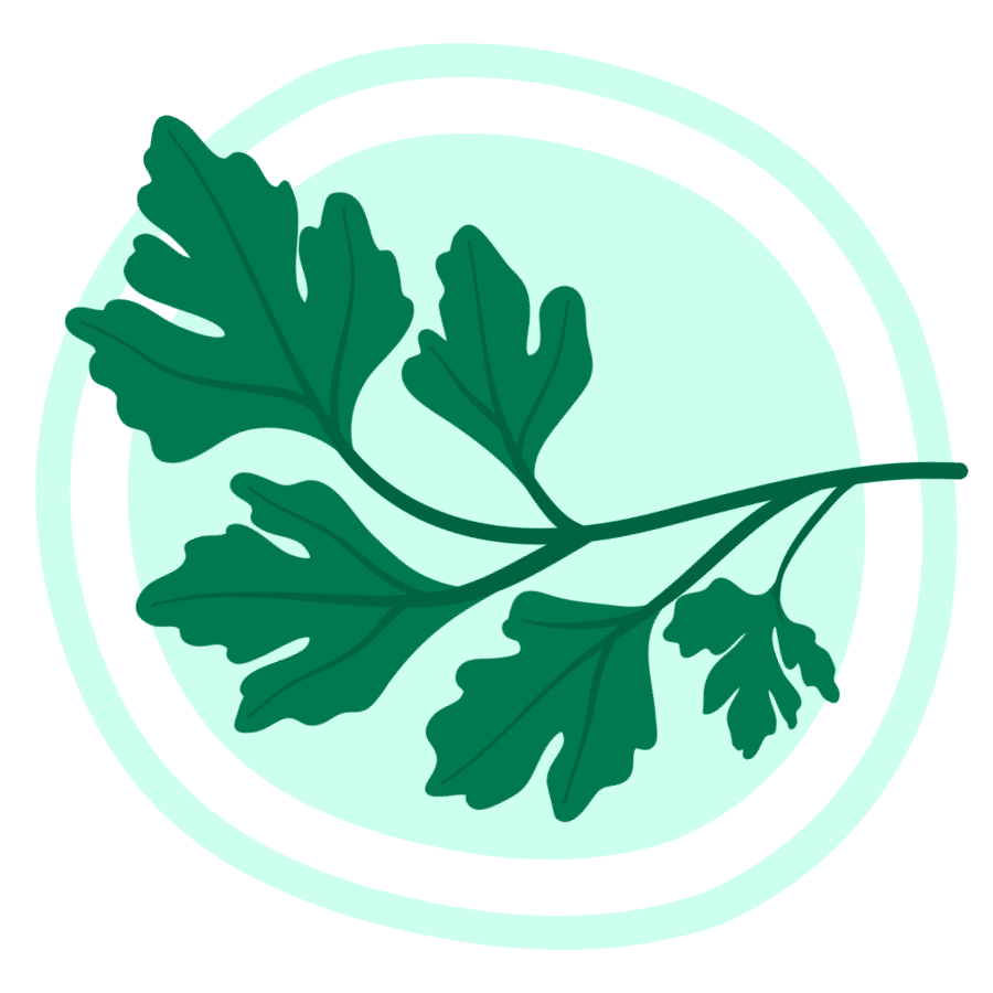 Icon for Parsley.