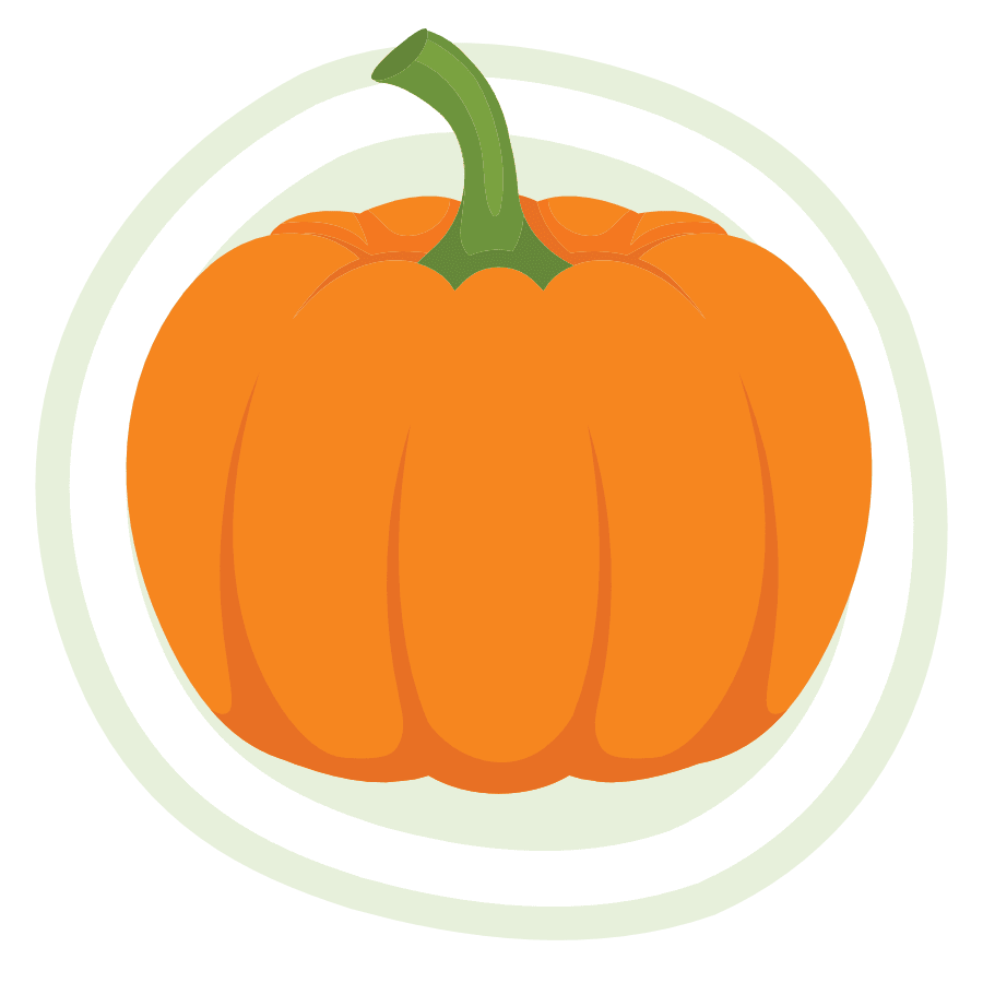 Icon for Pumpkin.
