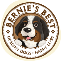 About Bernie's Best