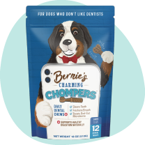 Bernie's Charming Chompers