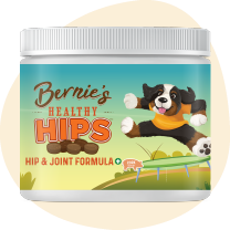 Bernie's Healthy Hips