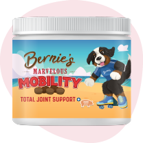 Bernie's Marvelous Mobility