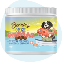Bernie's OMG! Omegas Chews
