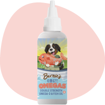 Bernie's OMG! Omegas Oil