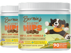 image-hh-products-8 – Bernie's Best, Inc. Two jars of Bernie's Healthy Hips dog joint supplement with a cartoon dog on the label, set against a light blue background.