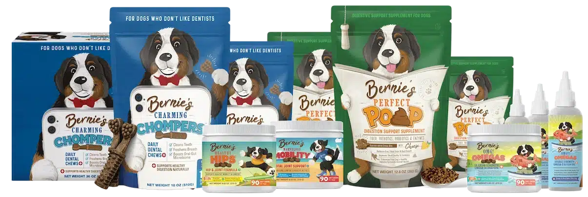 Illustration of each unique product package offered by Bernie's Best.