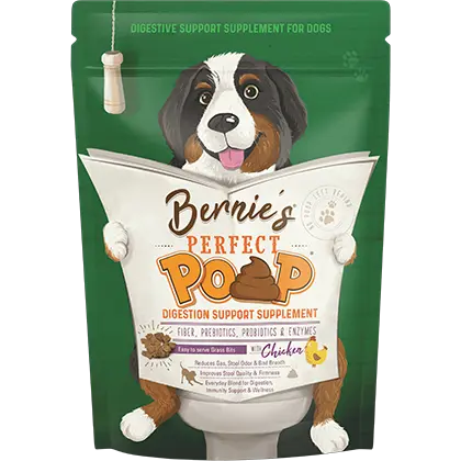 Green dog supplement bag labeled Bernie’s Perfect Pop for digestion support, featuring a cartoon dog holding a large book graphic.